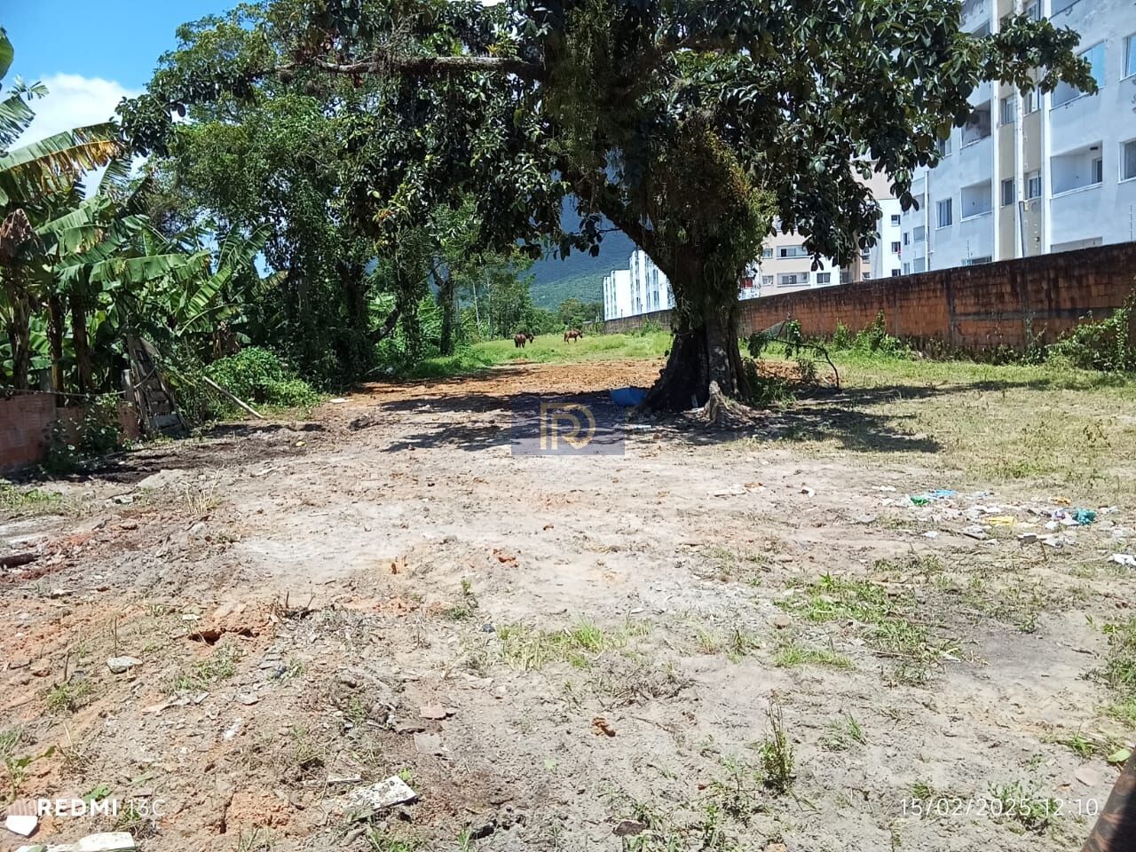 Terreno, 5539 m² - Foto 2