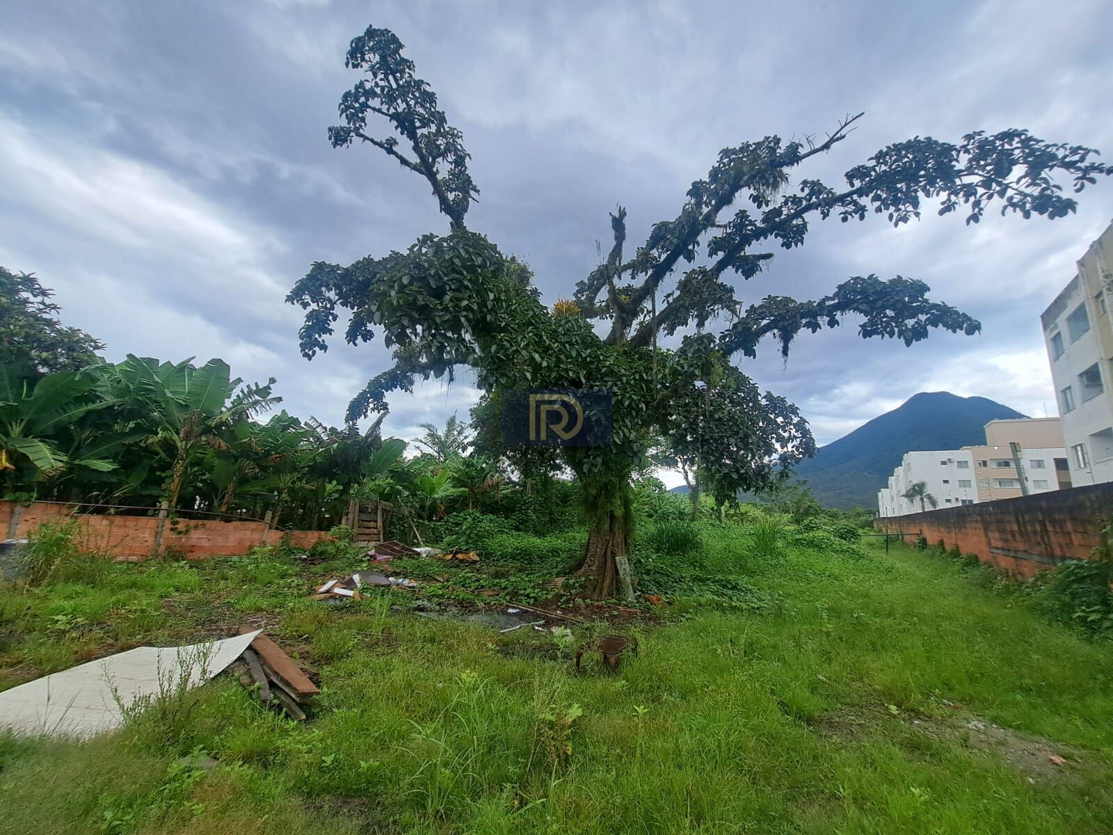 Terreno, 5539 m² - Foto 1