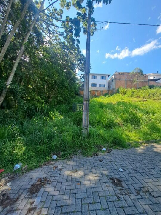 Terreno, 250 m² - Foto 8