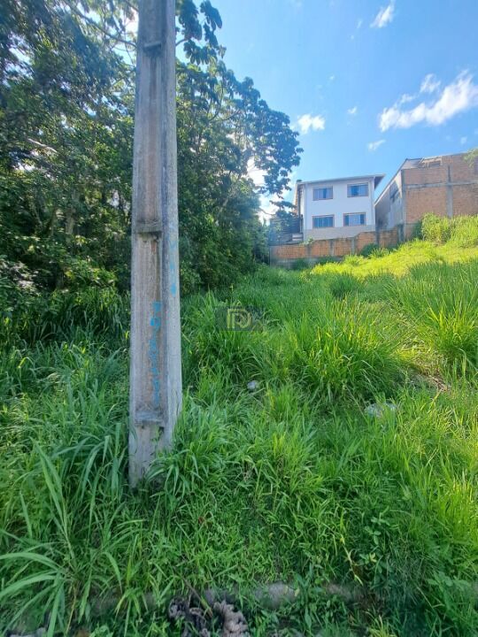 Terreno, 250 m² - Foto 1