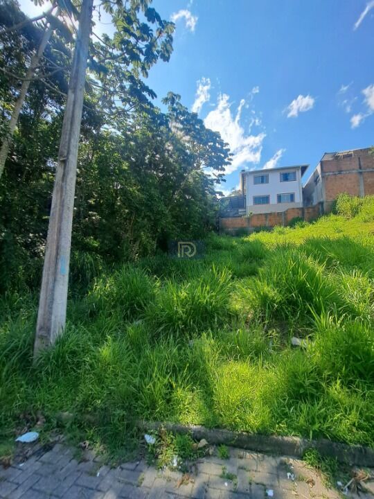 Terreno, 250 m² - Foto 2