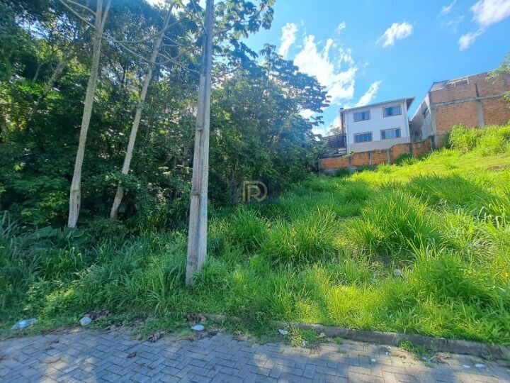 Terreno, 250 m² - Foto 7