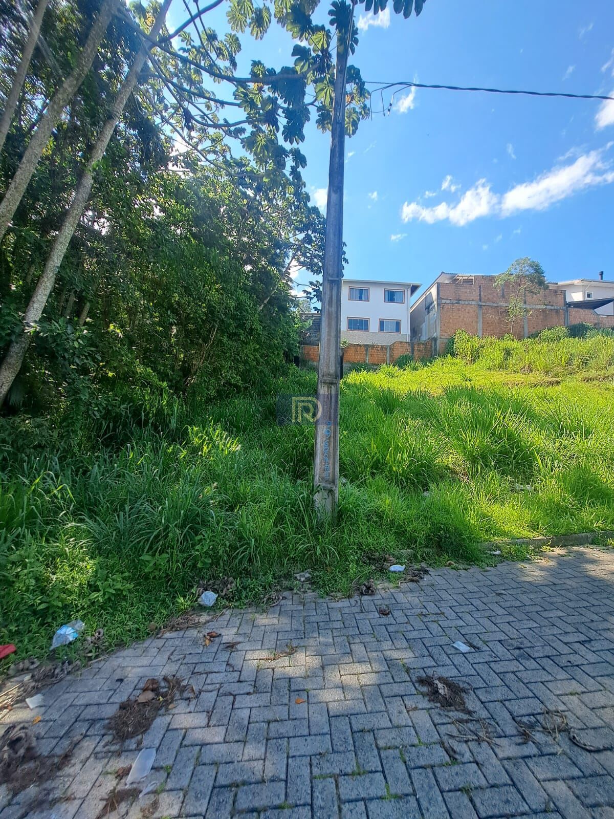 Terreno, 250 m² - Foto 11