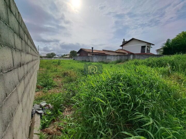 Terreno, 360 m² - Foto 4