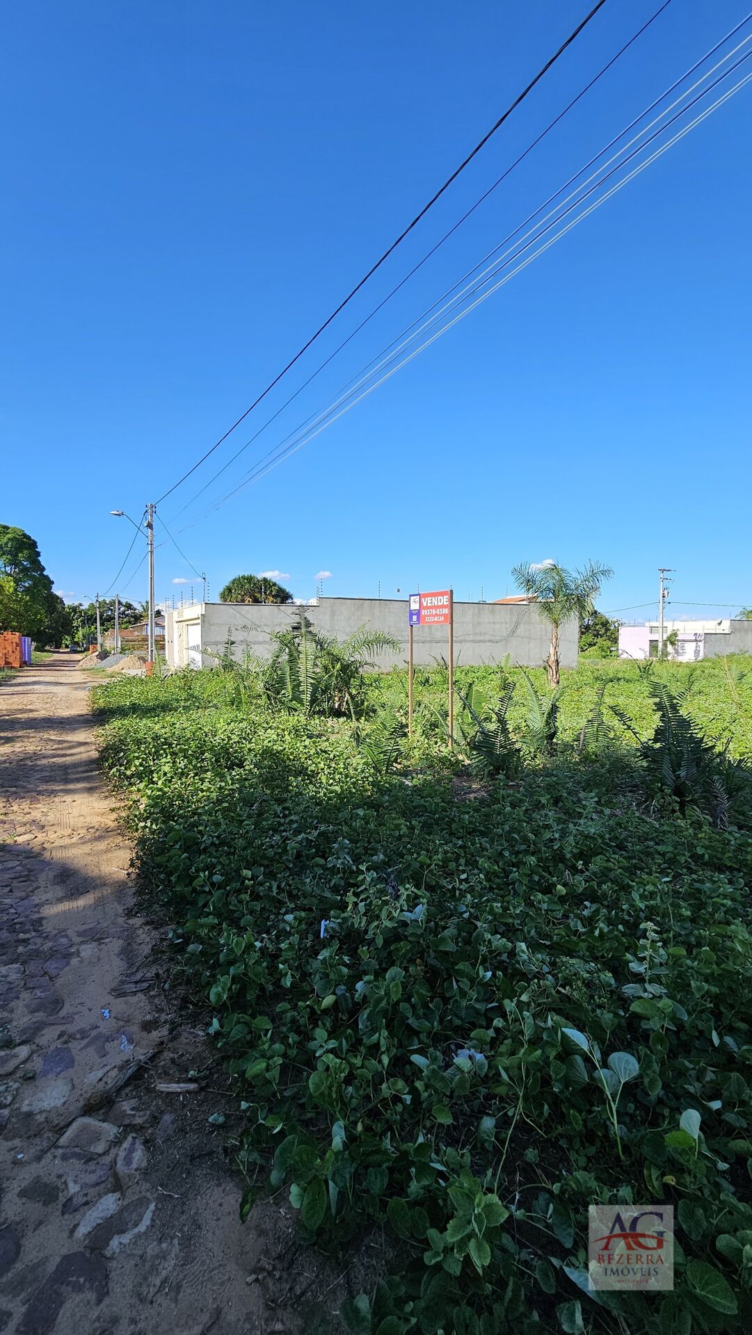 Terreno à venda, 250m² - Foto 2