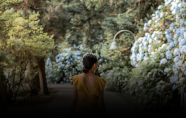 Guia de Compra de Imóveis em Gramado: Seu Caminho para o Lar dos Sonhos