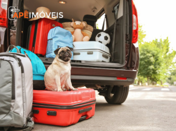 Você tem Pet? Vamos te dar 5 dicas de para escolher o Imóvel Ideal