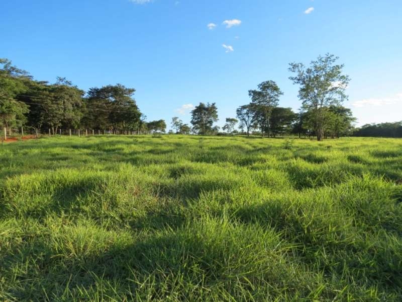 Chácara à venda com 1 quarto, 370000m² - Foto 2