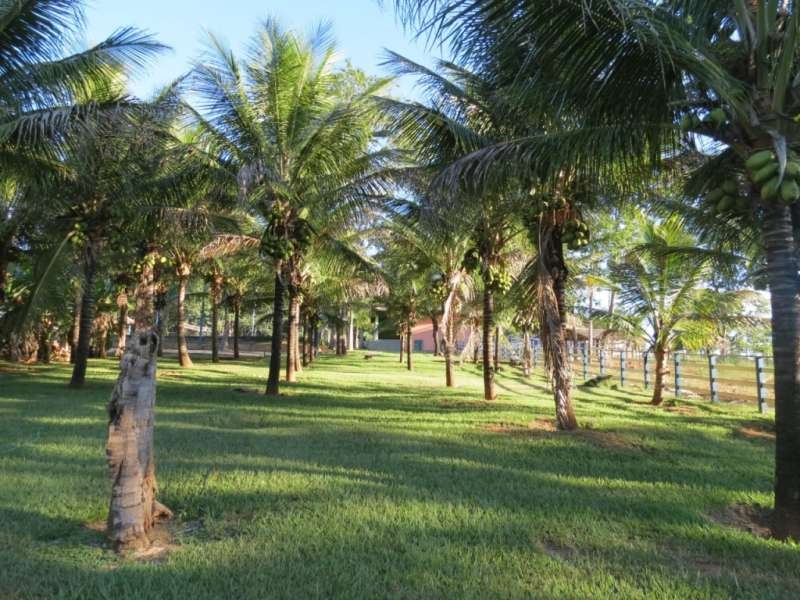 Chácara à venda com 1 quarto, 370000m² - Foto 1