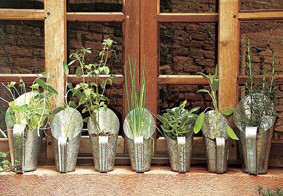 Você pode ter uma horta em seu apartamento.