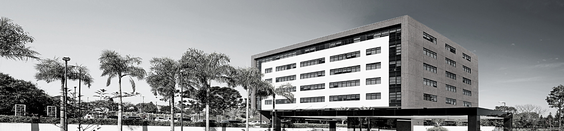 TOP SOLUÇÕES IMOBILIÁRIAS