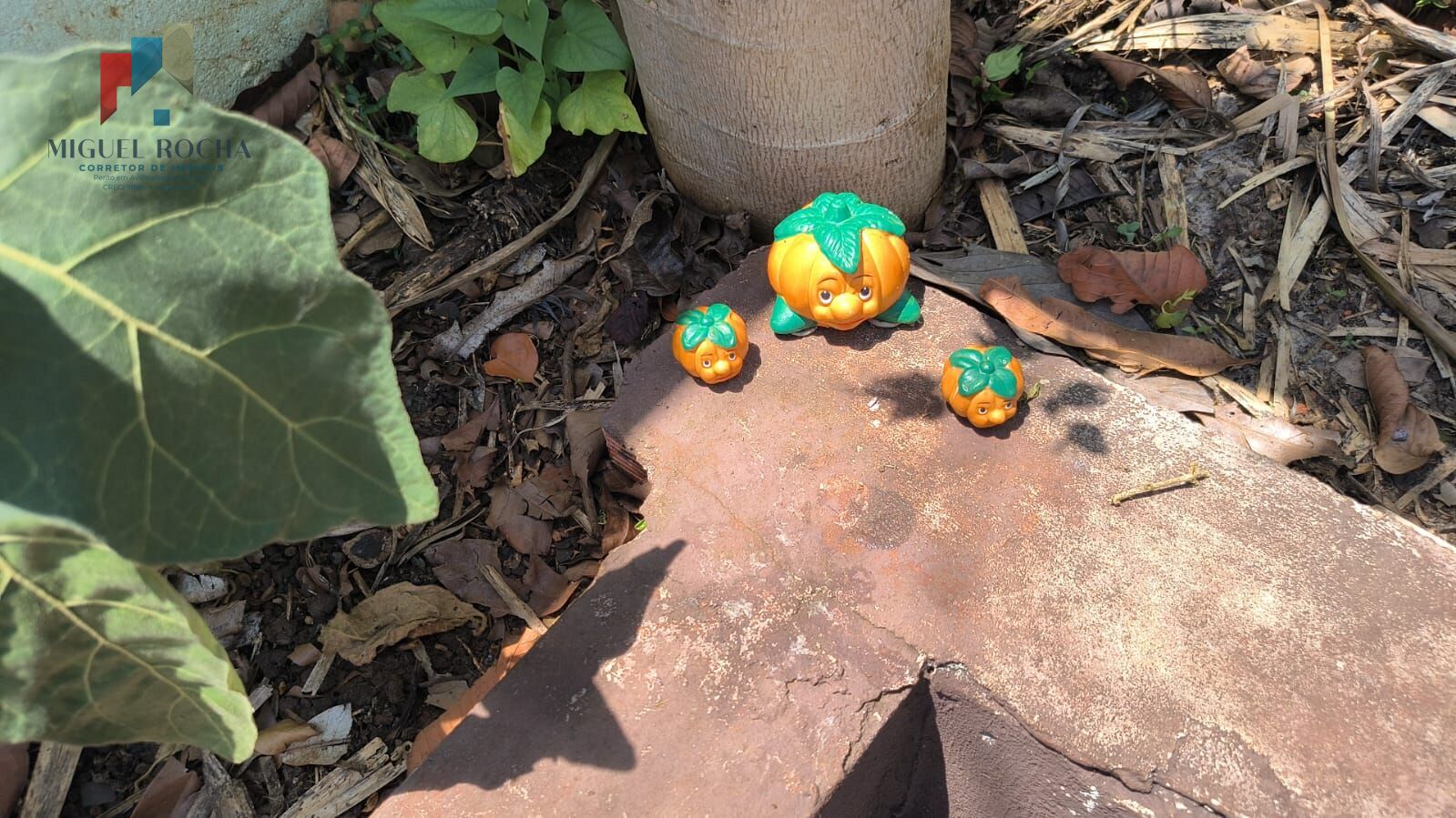 Chácara, 2 quartos, 500 m² - Foto 37