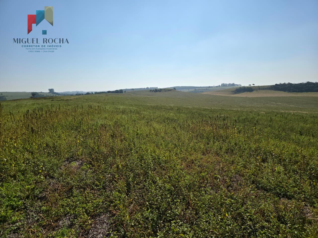 Fazenda para alugar com 2 quartos, 3872000m² - Foto 11