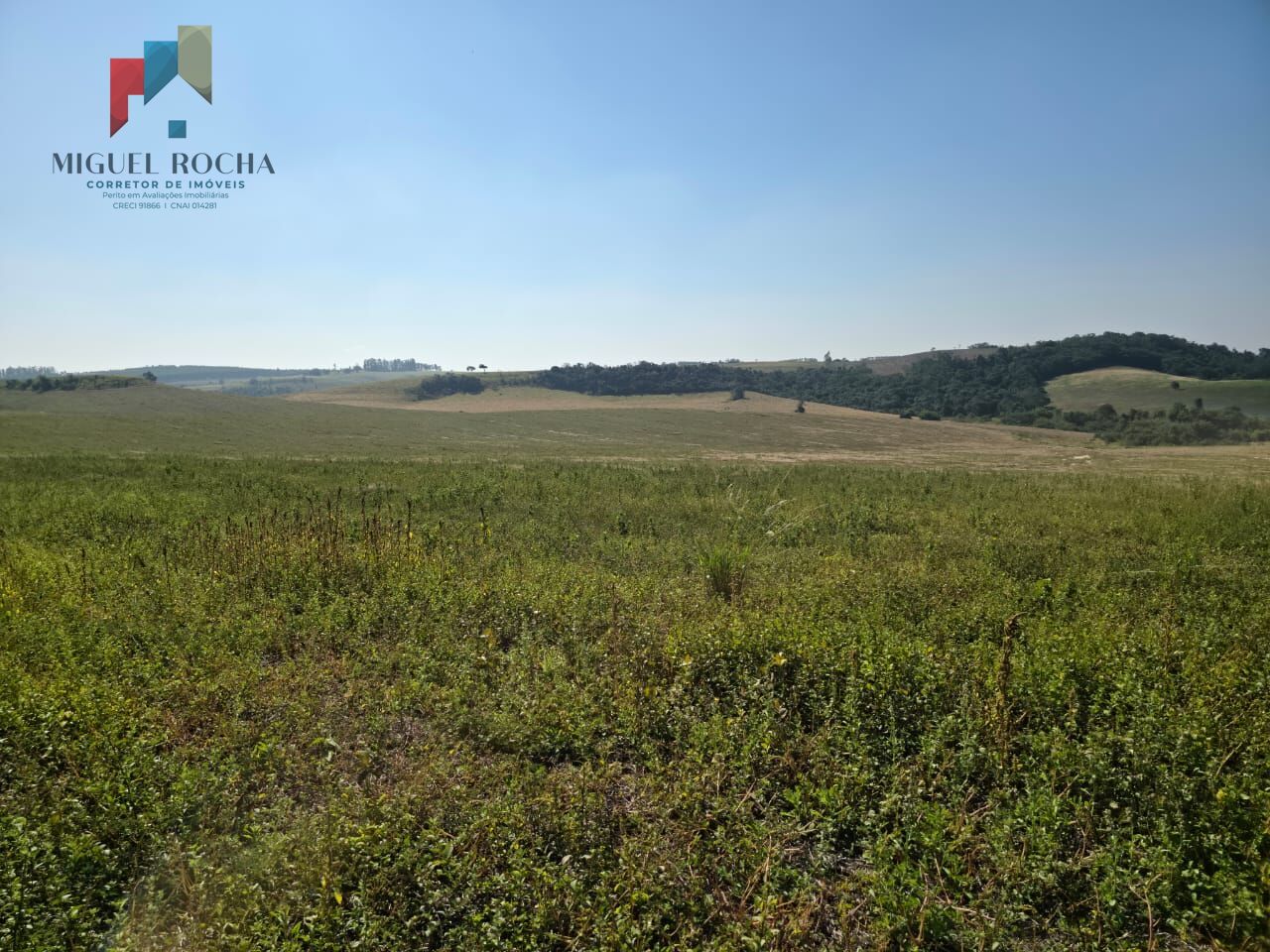 Fazenda para alugar com 2 quartos, 3872000m² - Foto 6