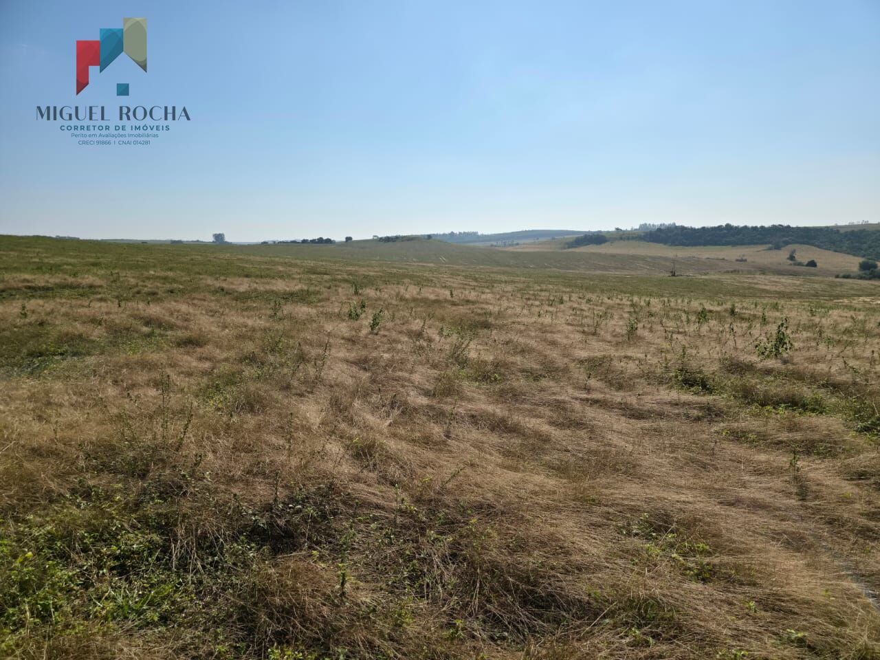 Fazenda para alugar com 2 quartos, 3872000m² - Foto 2