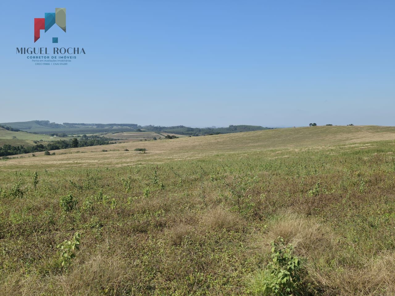 Fazenda para alugar com 2 quartos, 3872000m² - Foto 7