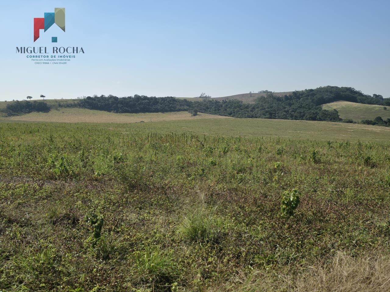 Fazenda para alugar com 2 quartos, 3872000m² - Foto 3