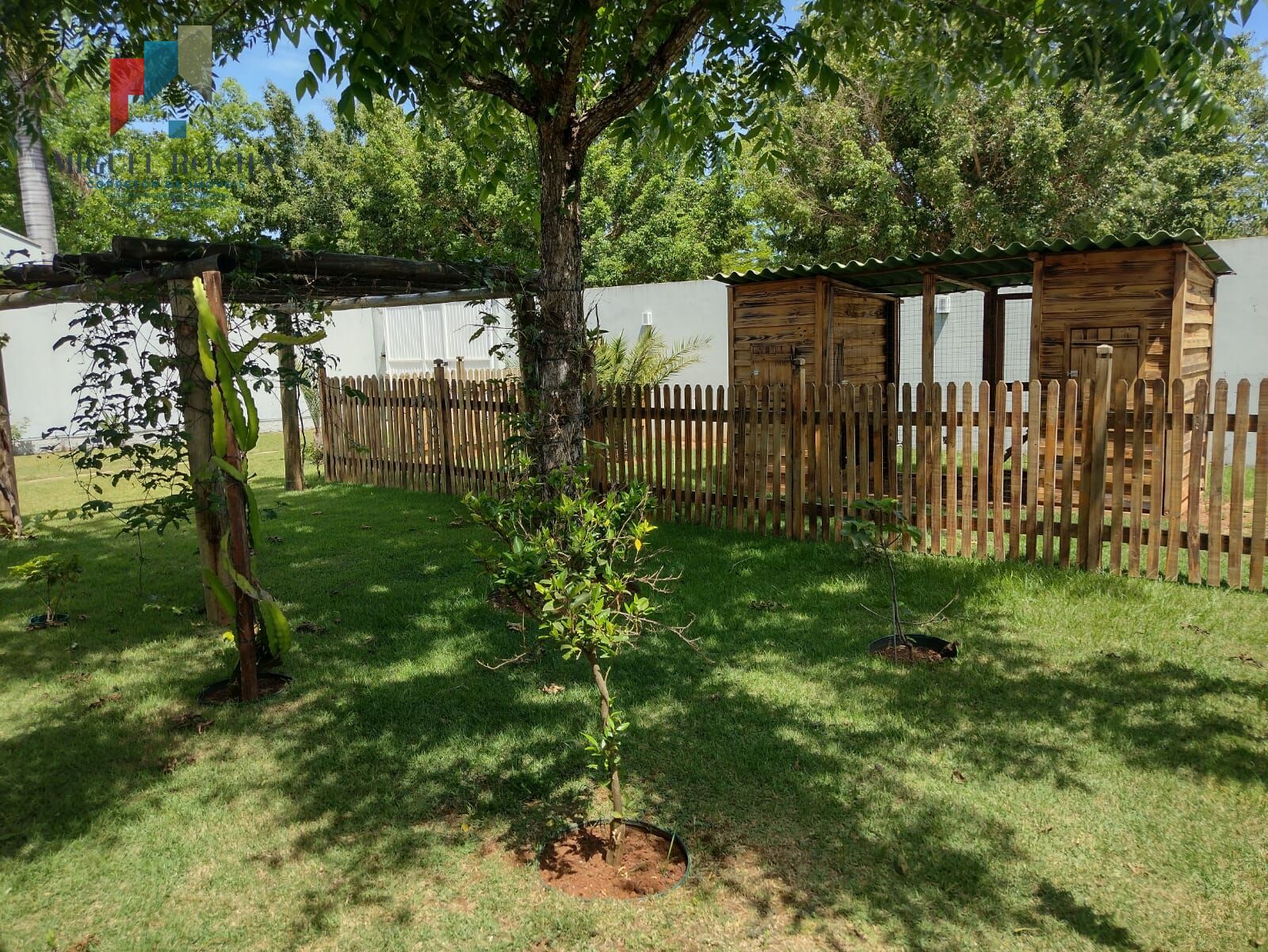 Fazenda à venda com 3 quartos, 1000m² - Foto 27