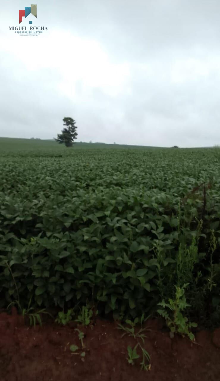 Fazenda à venda com 2 quartos, 1185800m² - Foto 5