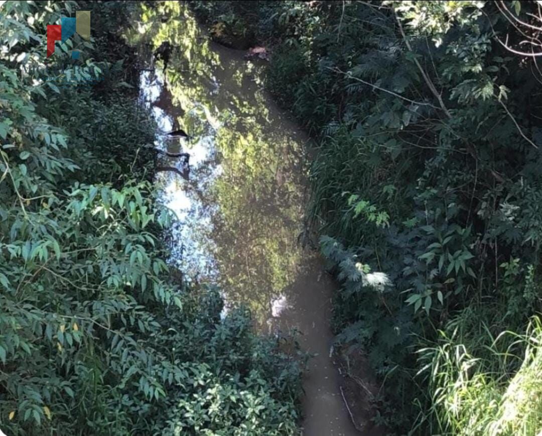 Fazenda à venda com 2 quartos, 1185800m² - Foto 9