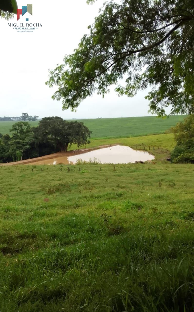 Fazenda à venda com 2 quartos, 1185800m² - Foto 4