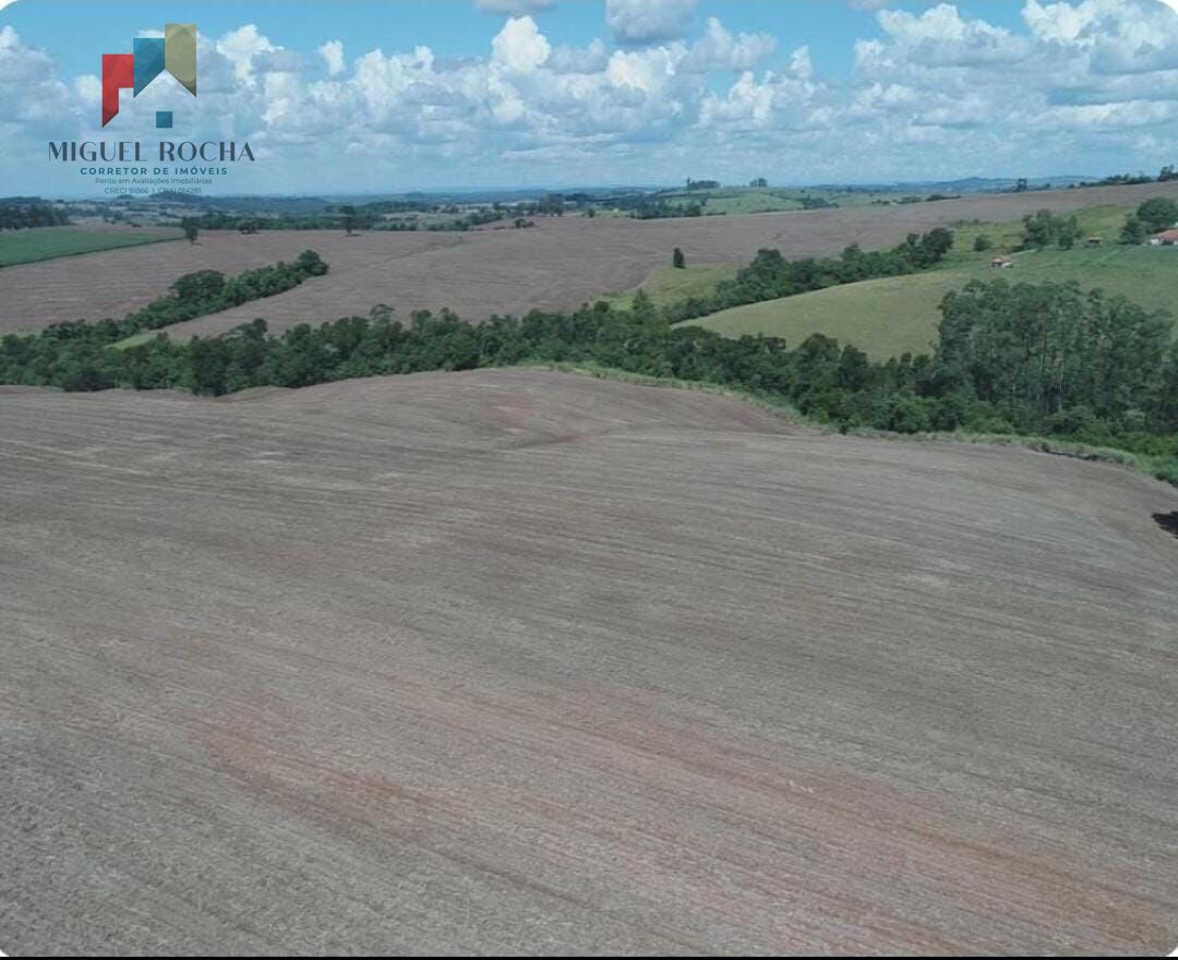 Fazenda à venda com 2 quartos, 1185800m² - Foto 11