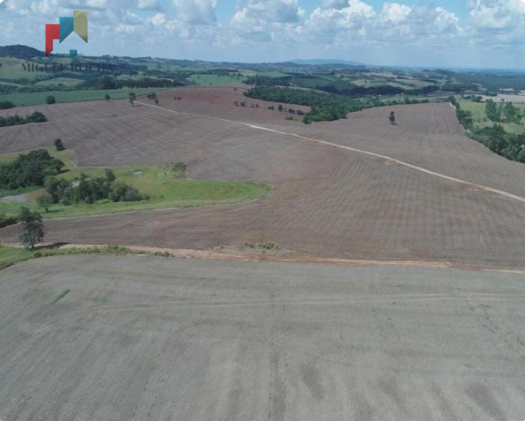 Fazenda à venda com 2 quartos, 1185800m² - Foto 10