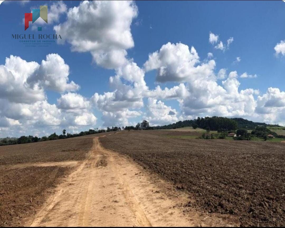 Fazenda à venda com 2 quartos, 1185800m² - Foto 7