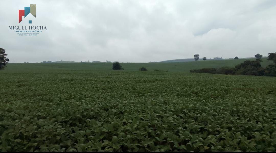 Fazenda à venda com 2 quartos, 1185800m² - Foto 6