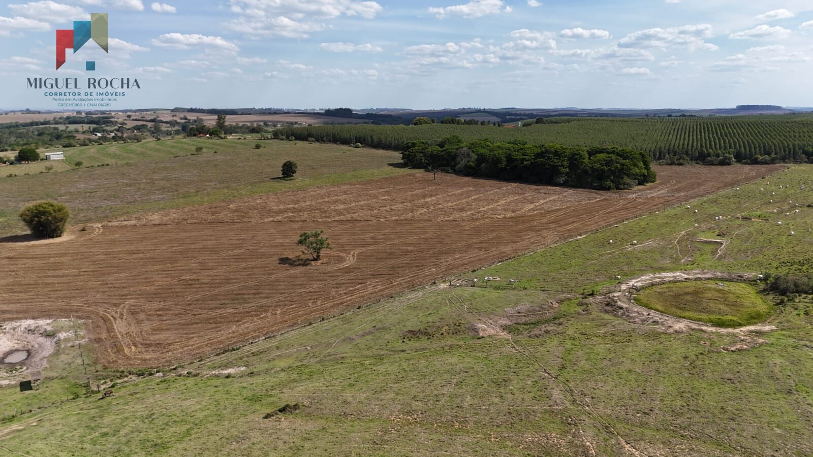Chácara, 1 quarto, 74 hectares - Foto 14