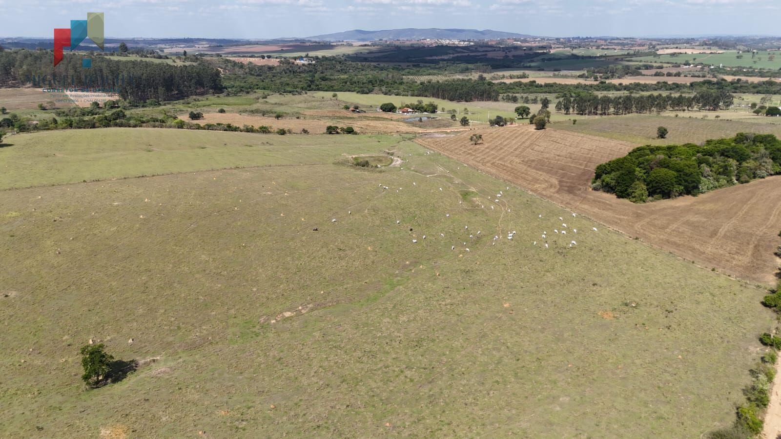 Chácara, 1 quarto, 74 hectares - Foto 20