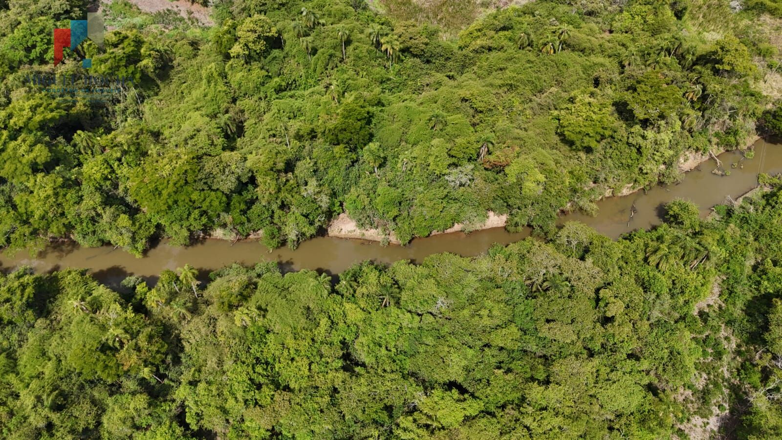 Chácara, 1 quarto, 74 hectares - Foto 19