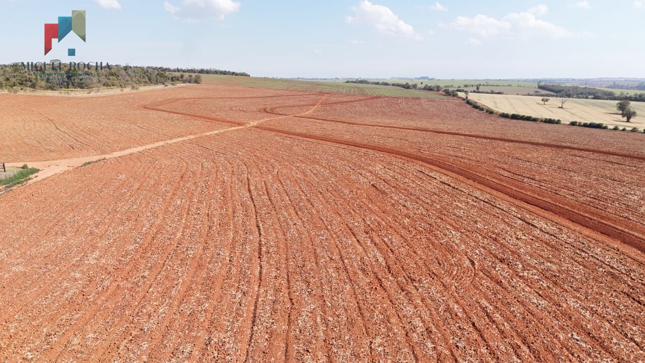Fazenda, 102 hectares - Foto 4