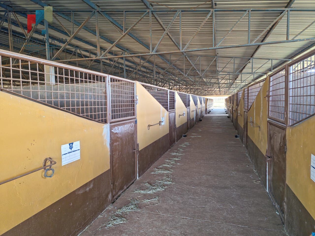 Fazenda, 102 hectares - Foto 19