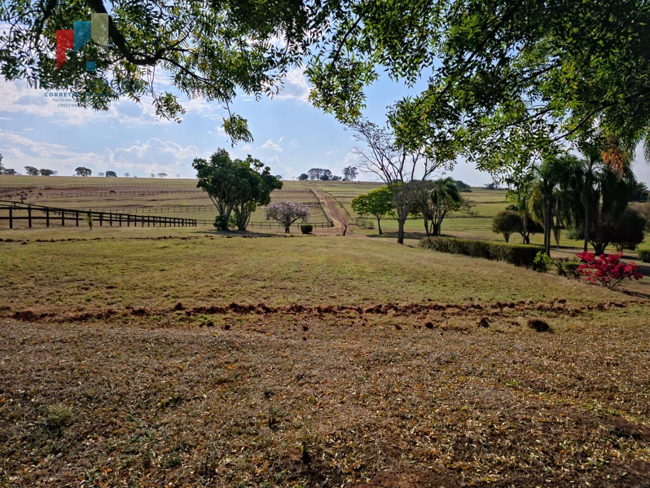 Fazenda, 102 hectares - Foto 14
