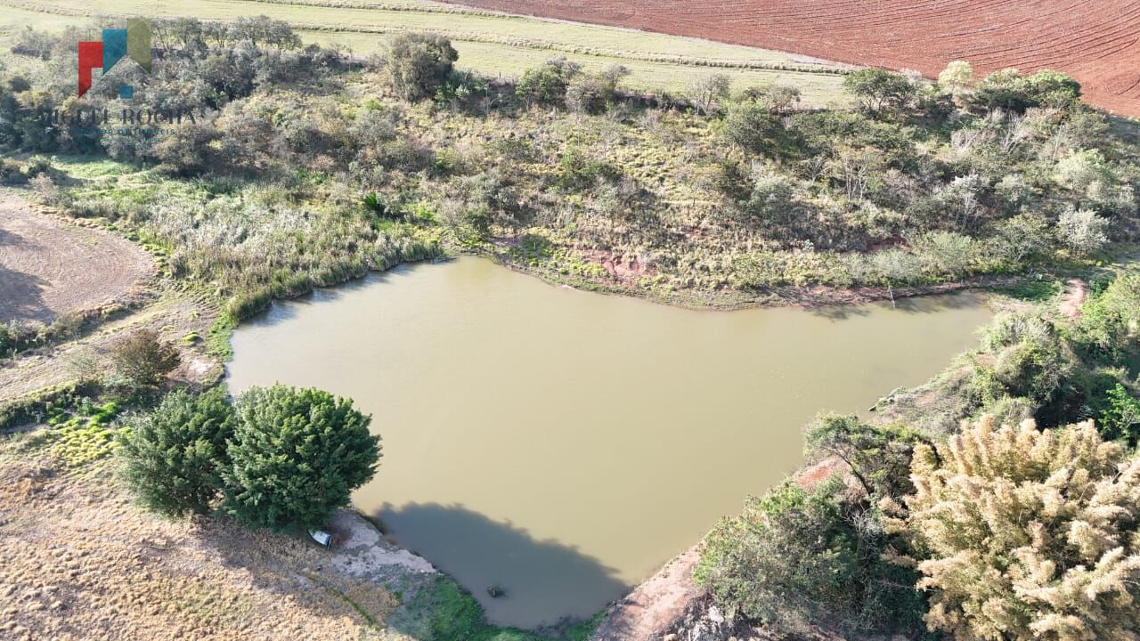 Fazenda, 102 hectares - Foto 37