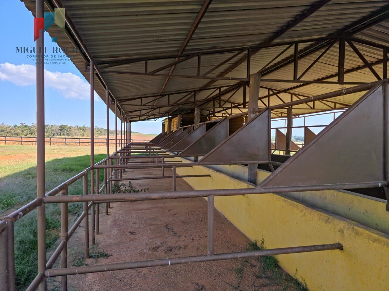 Fazenda, 102 hectares - Foto 16