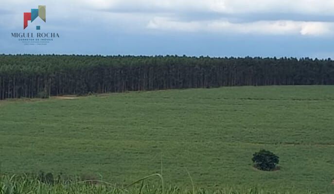 Fazenda à venda com 2 quartos, 2347400m² - Foto 6