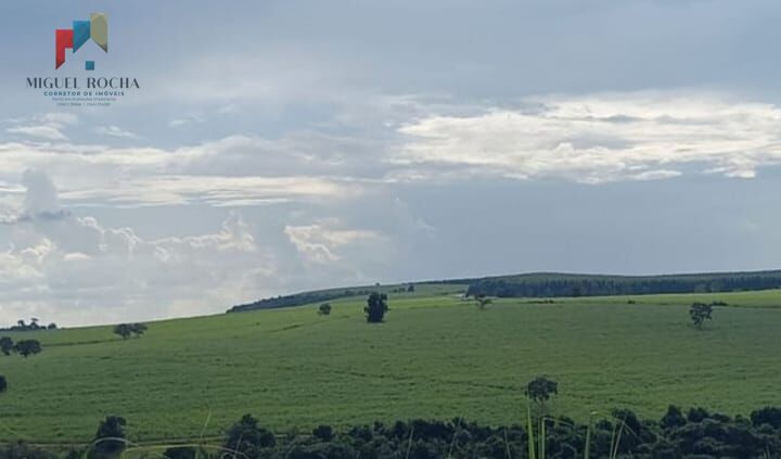 Fazenda à venda com 2 quartos, 2347400m² - Foto 7