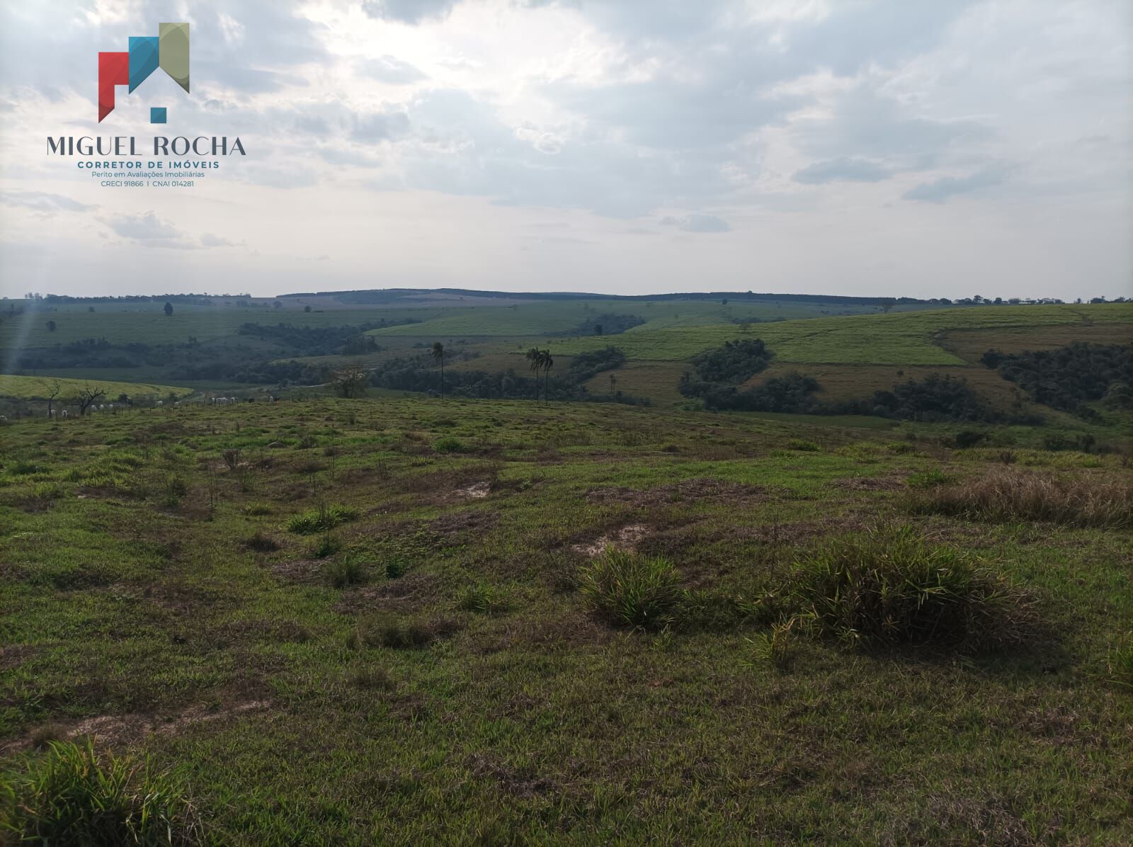 Fazenda à venda com 2 quartos, 2347400m² - Foto 2