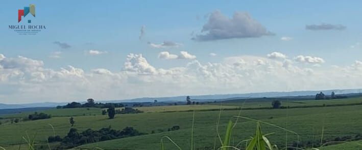 Fazenda à venda com 2 quartos, 2347400m² - Foto 8