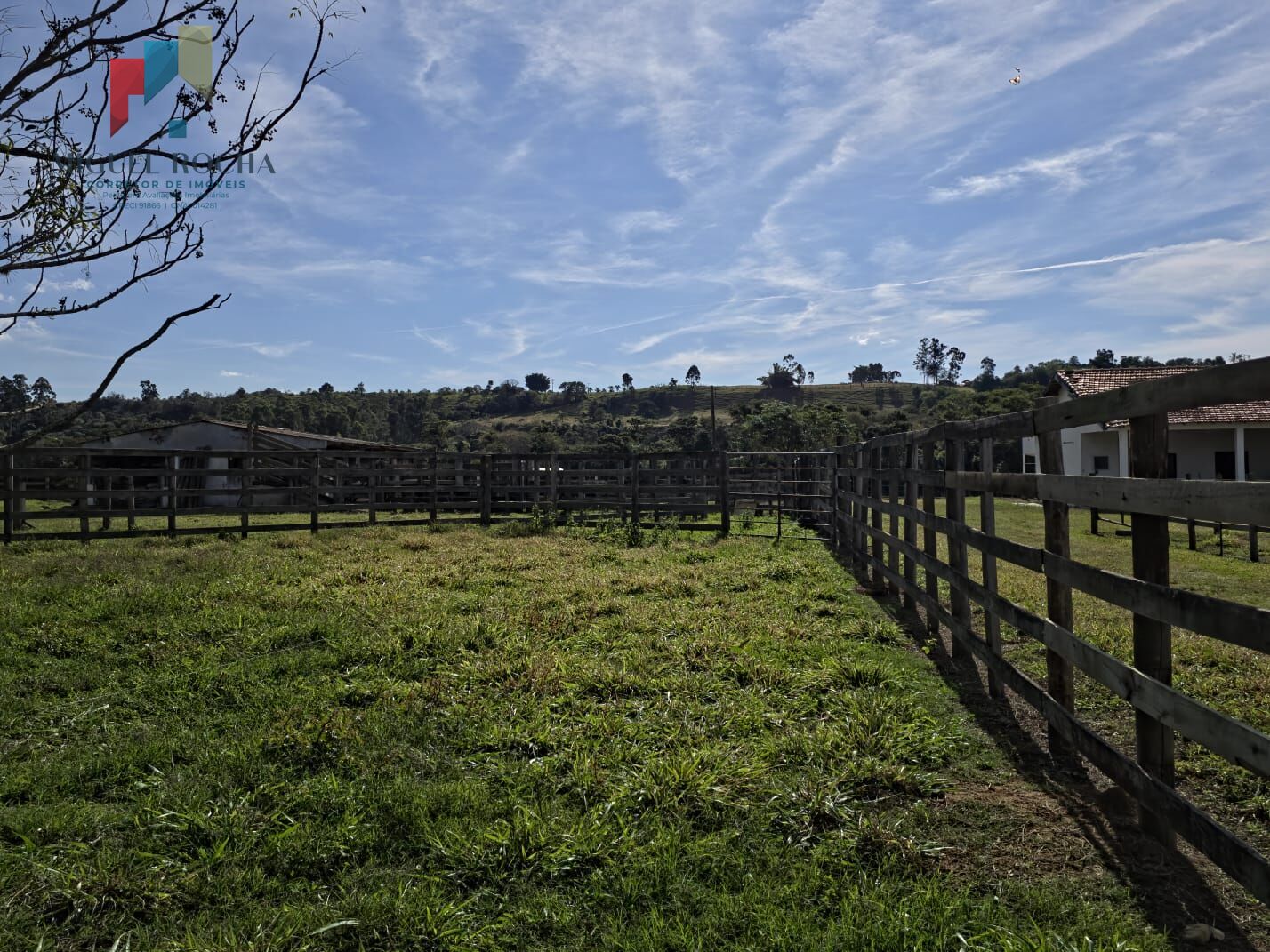 Sítio à venda com 3 quartos, 165200m² - Foto 6