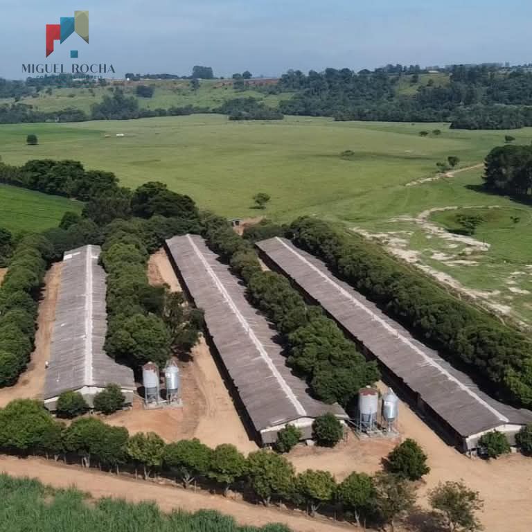 Sítio à venda com 3 quartos, 165200m² - Foto 4