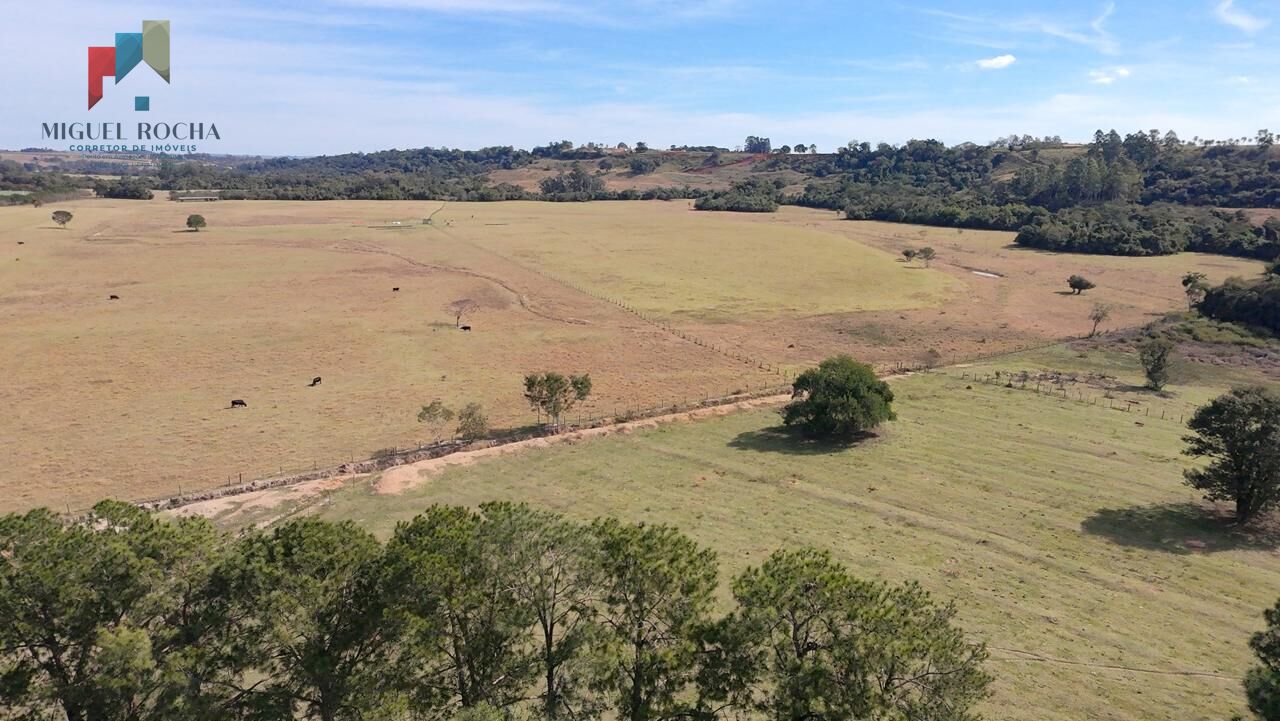 Sítio à venda com 3 quartos, 165200m² - Foto 7