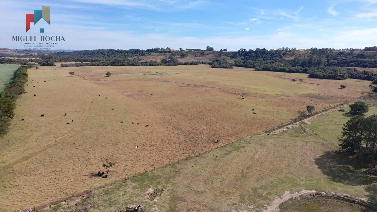 Sítio à venda com 3 quartos, 165200m² - Foto 12