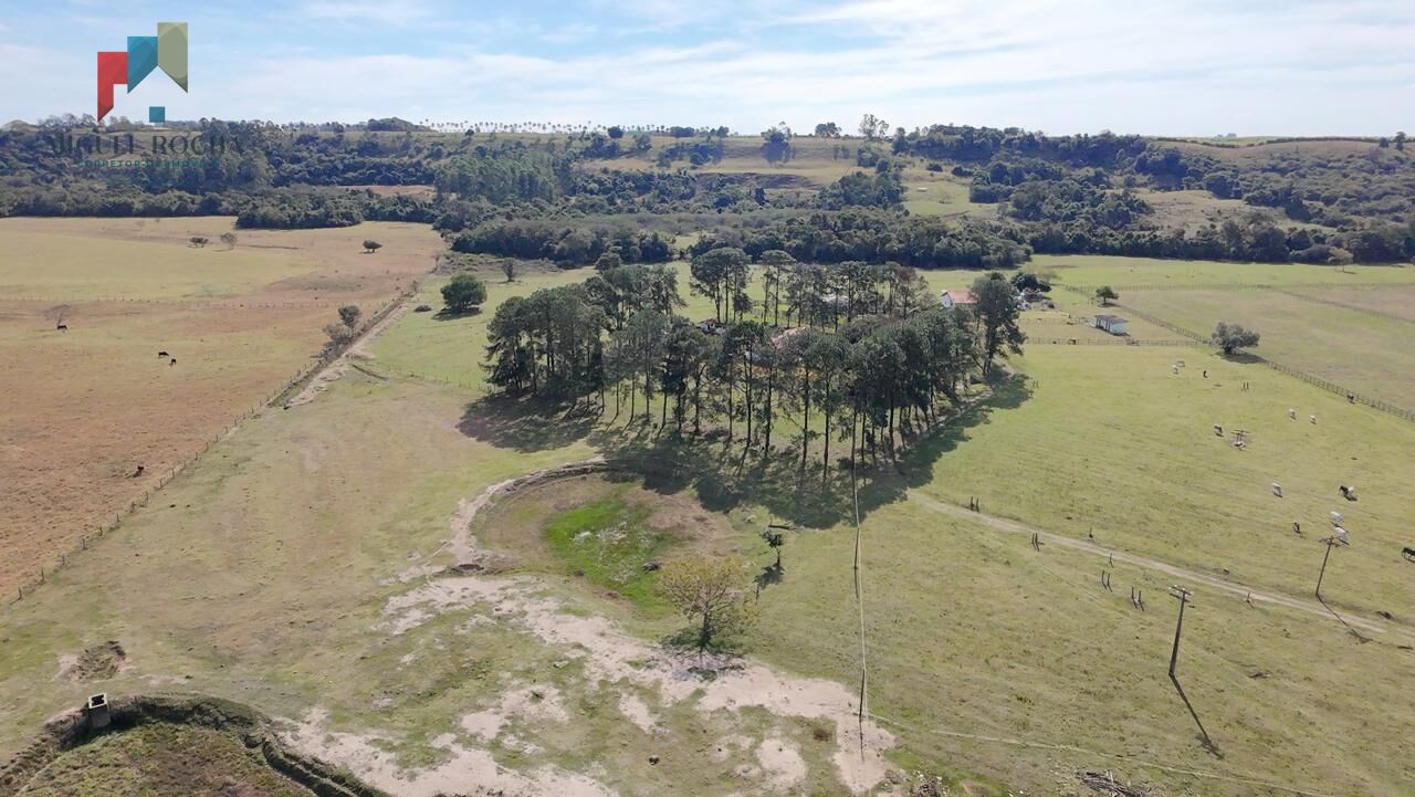Sítio à venda com 3 quartos, 165200m² - Foto 8