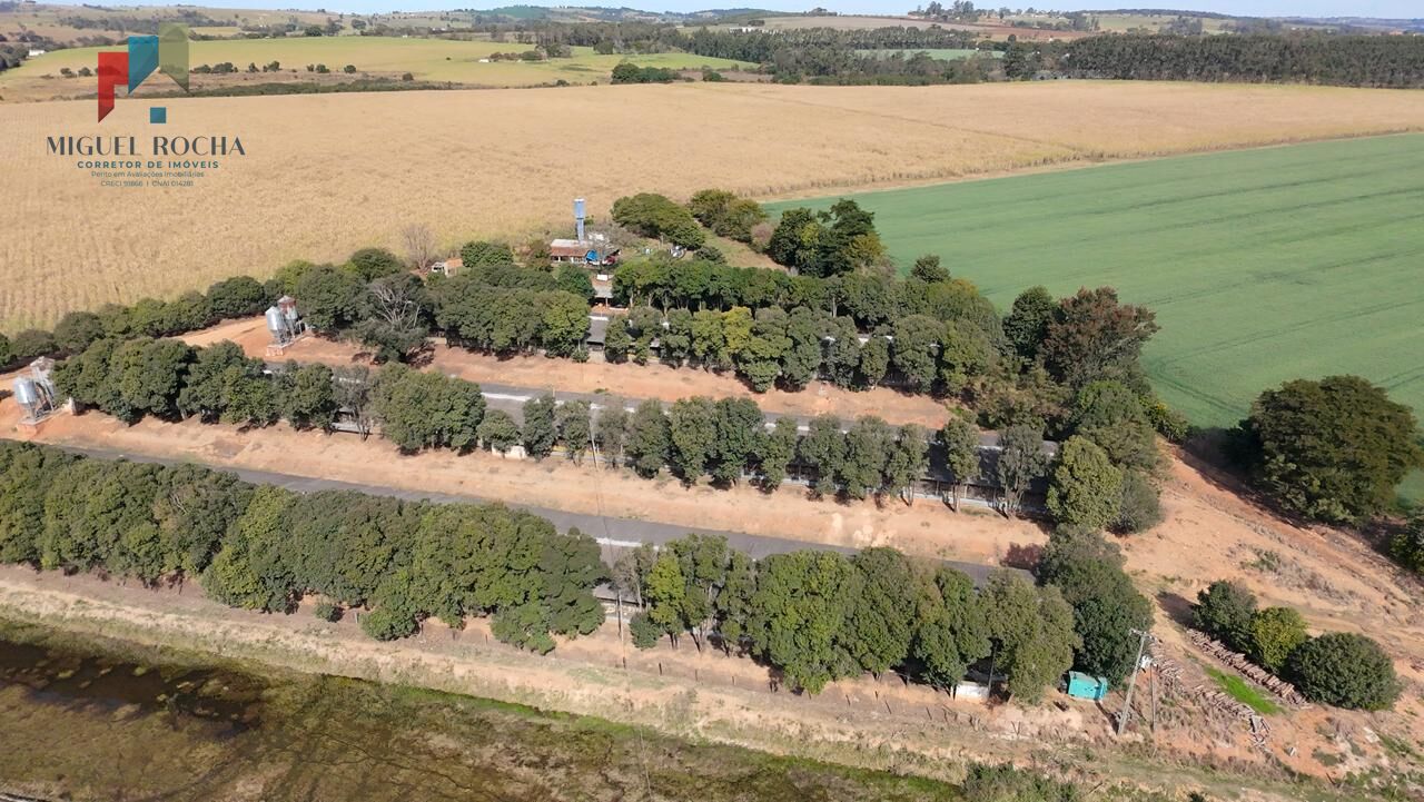 Sítio à venda com 3 quartos, 165200m² - Foto 17
