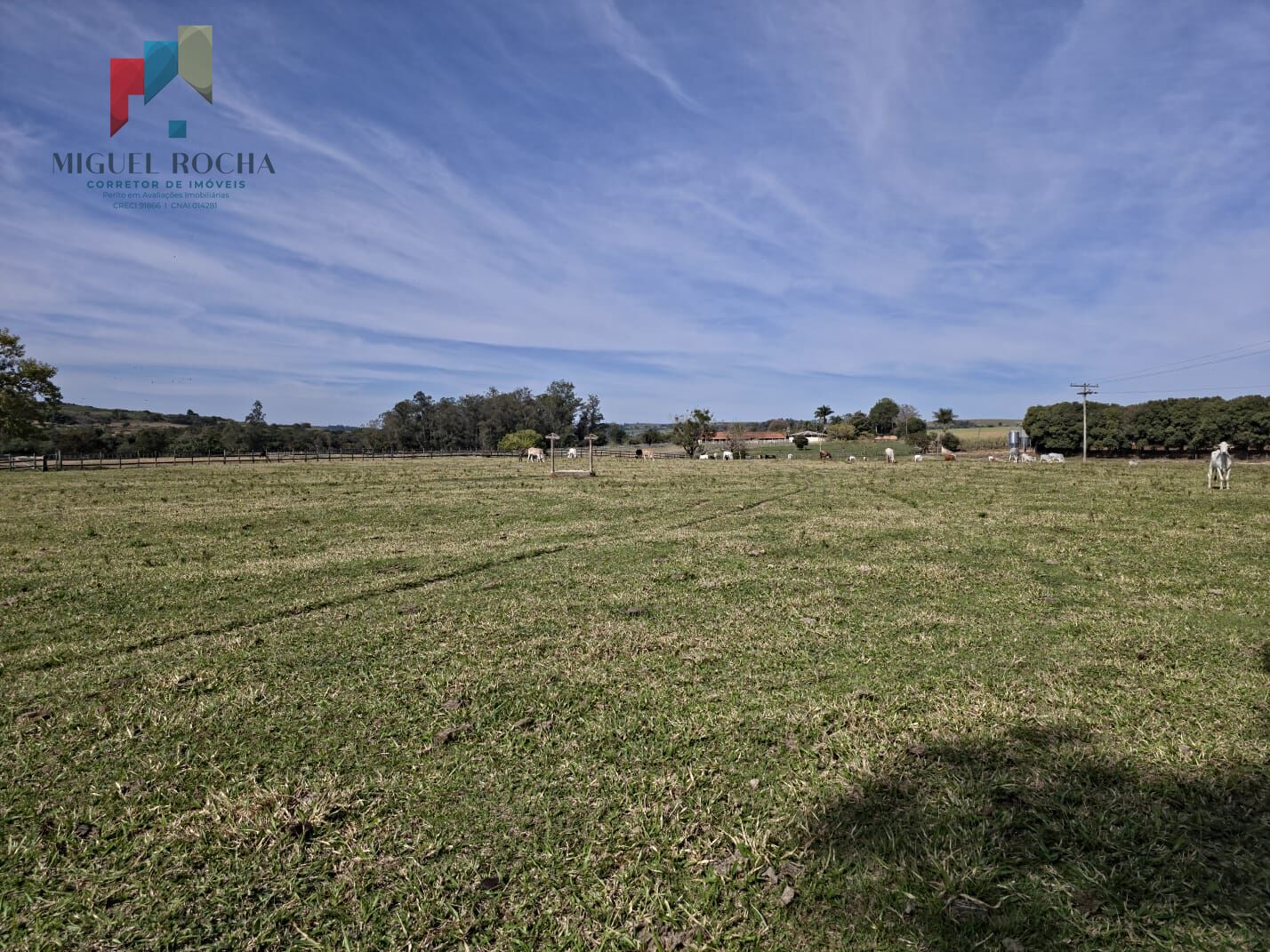 Sítio à venda com 3 quartos, 165200m² - Foto 5