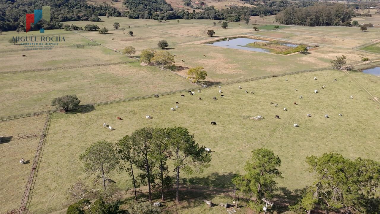 Sítio à venda com 3 quartos, 165200m² - Foto 1