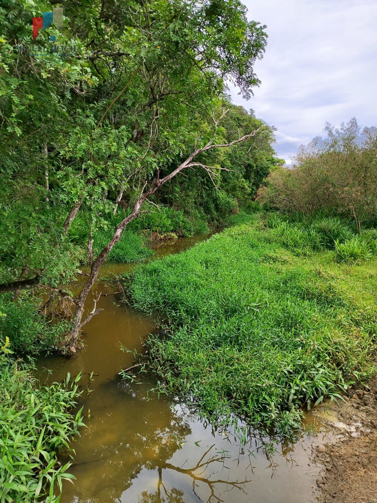 Fazenda, 117 hectares - Foto 14